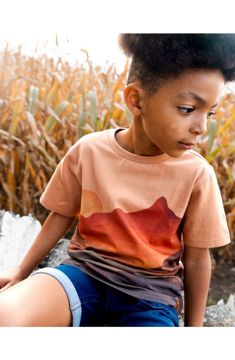 Deux par Deux Little Boy's Printed Organic Cotton Tee Orange Sunset, Alternate, color, 