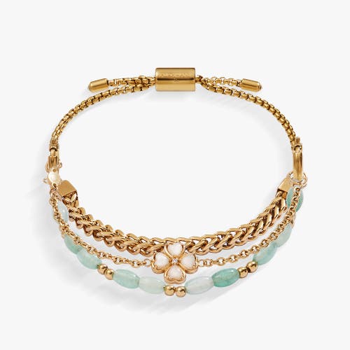 Alex And Ani Four Leaf Clover Stranded Bracelet Set In Gold