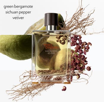 TERRE D'HERMÈS Eau Intense Vétiver 100ml Amazon.com: Hermes Terre D'Herm Eau Intense Vetiver Eau De