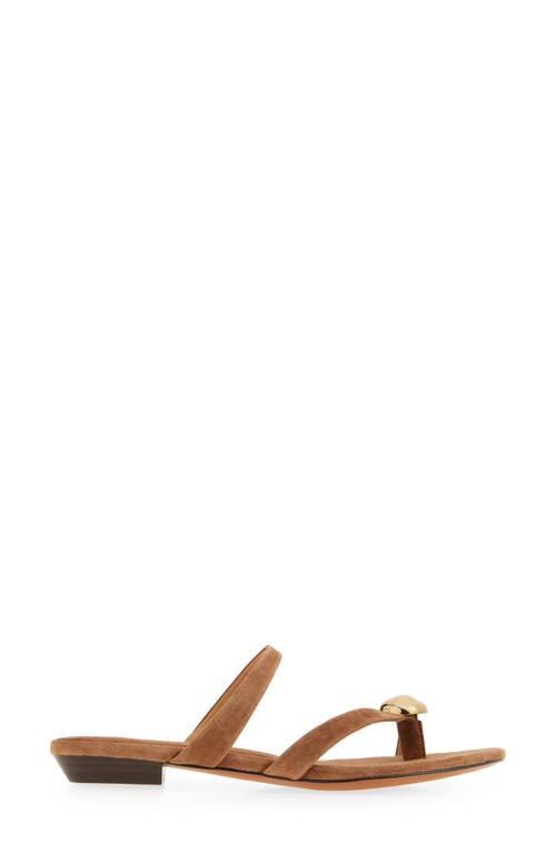 Madewell The Mila Organic Hardware Thong Slide Sandal In Aged Cognac