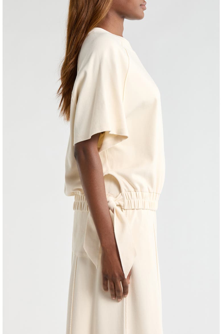 Jalani Side Tie Raglan Sleeve Top, Alternate, color, CREAM