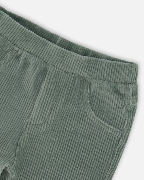 Deux Par Deux Stretch Velour Tregging In Green