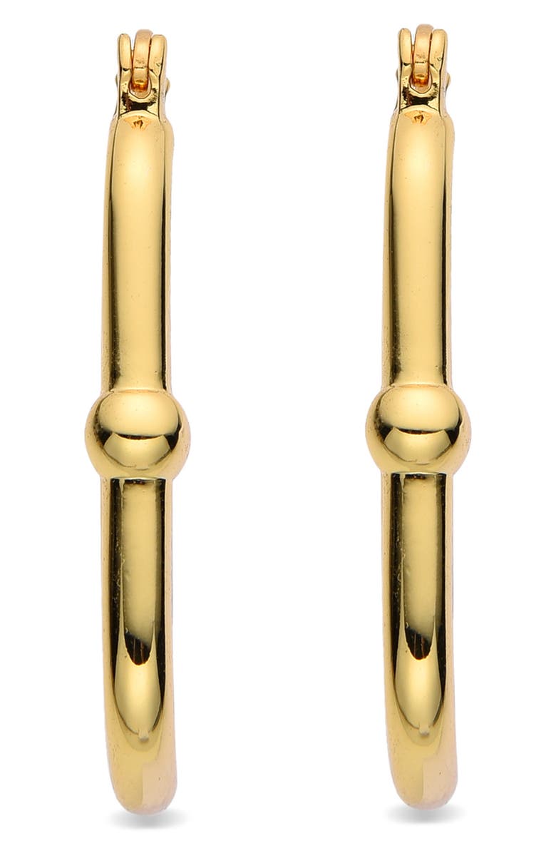 EYE CANDY LOS ANGELES Lisa Hoop Earrings, Alternate, color, Gold