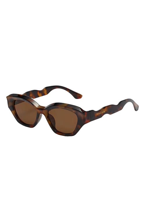 Fifth & Ninth Kell 52mm Polarized Geometric Sunglasses In Brown