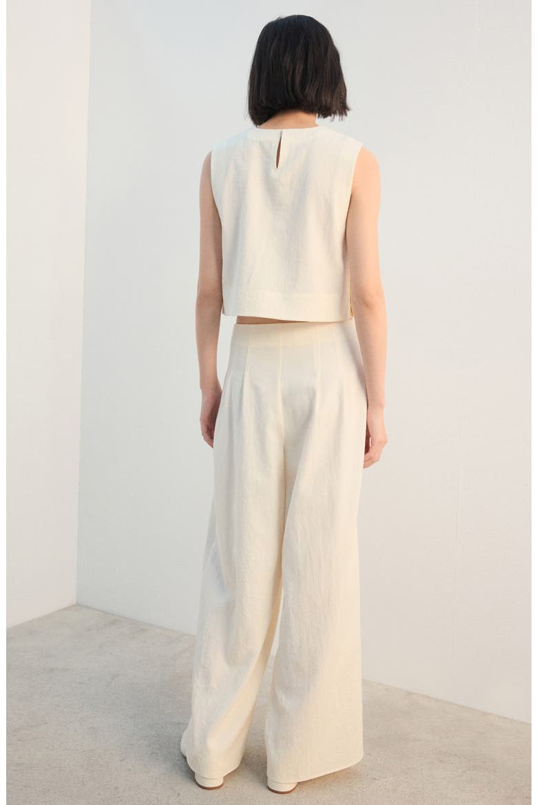 Pleated Straight Leg Pants, Alternate, color, ECRU