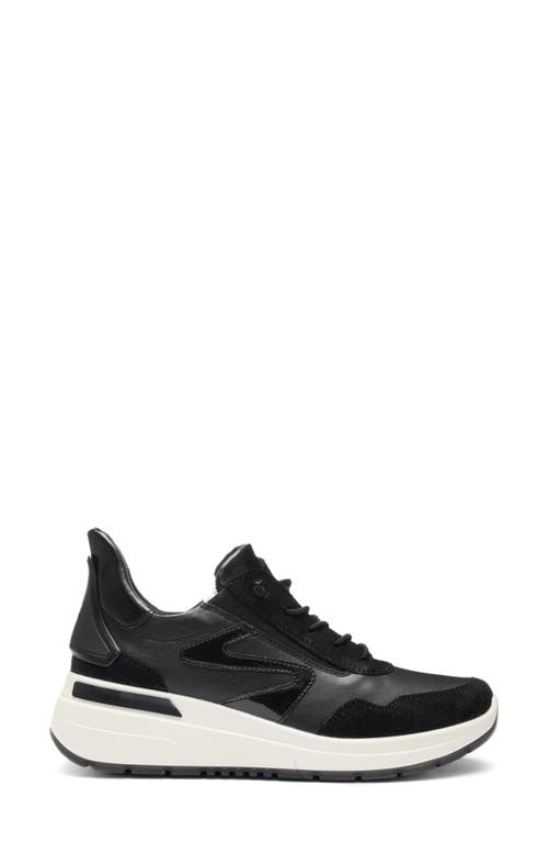 Ara Galicia Sneaker In Black