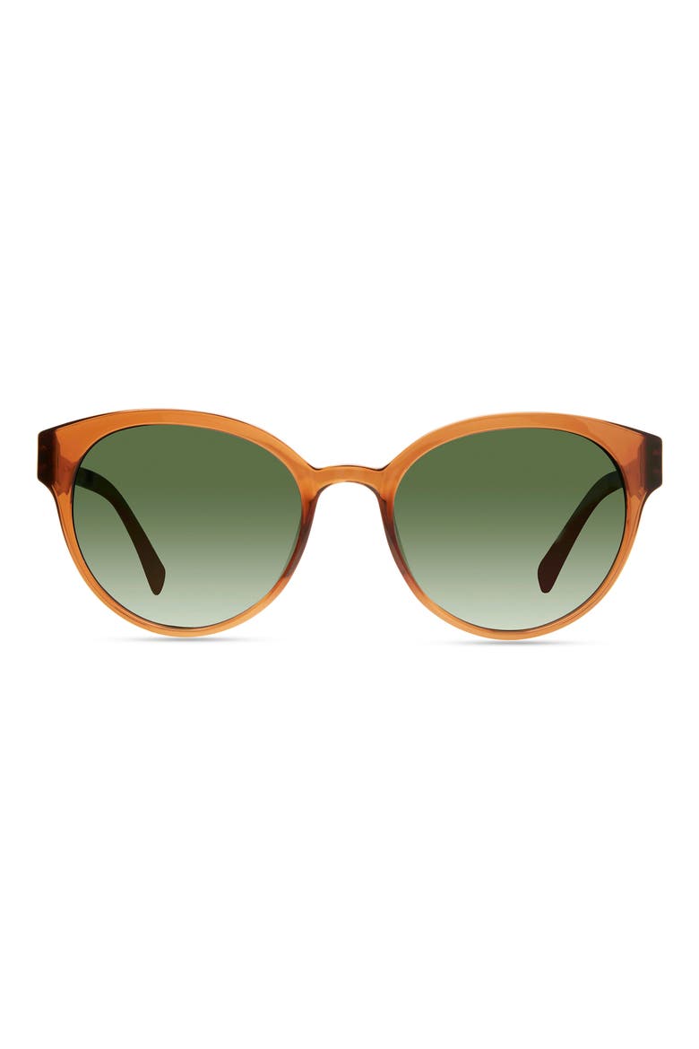 Avala 53mm Polarized Round Sunglasses, Main, color, CAMEL