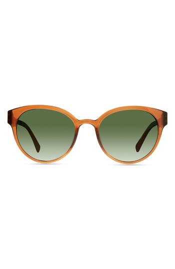 Eco Avala 53mm Polarized Round Sunglasses In Brown