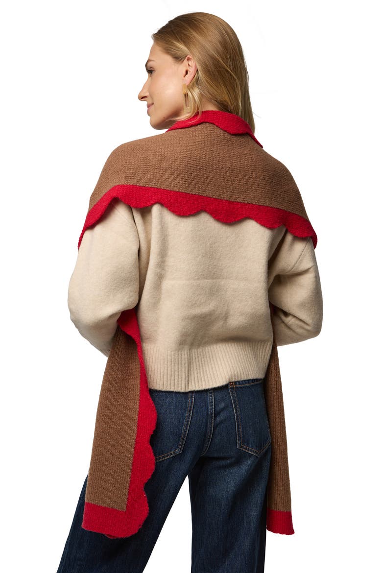 Scallop Trim Scarf, Alternate, color, BROWN