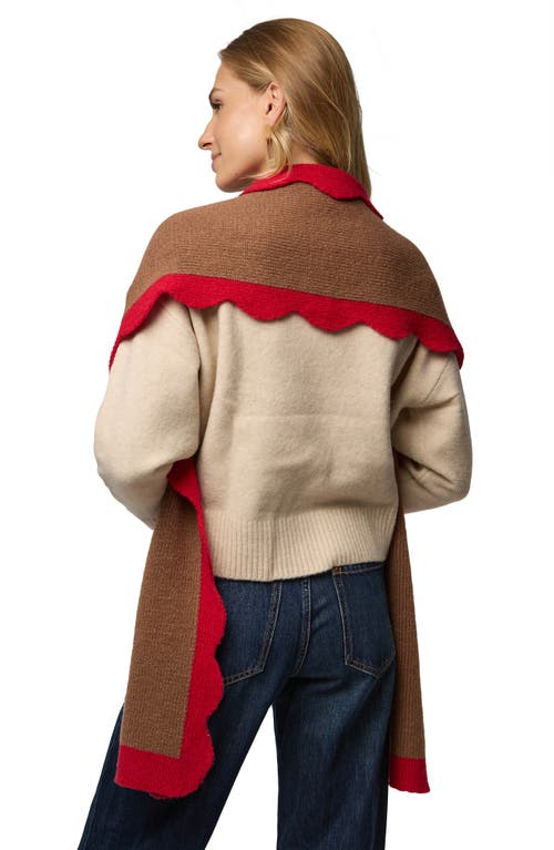 Saachi Scallop Trim Knit Scarf In Brown