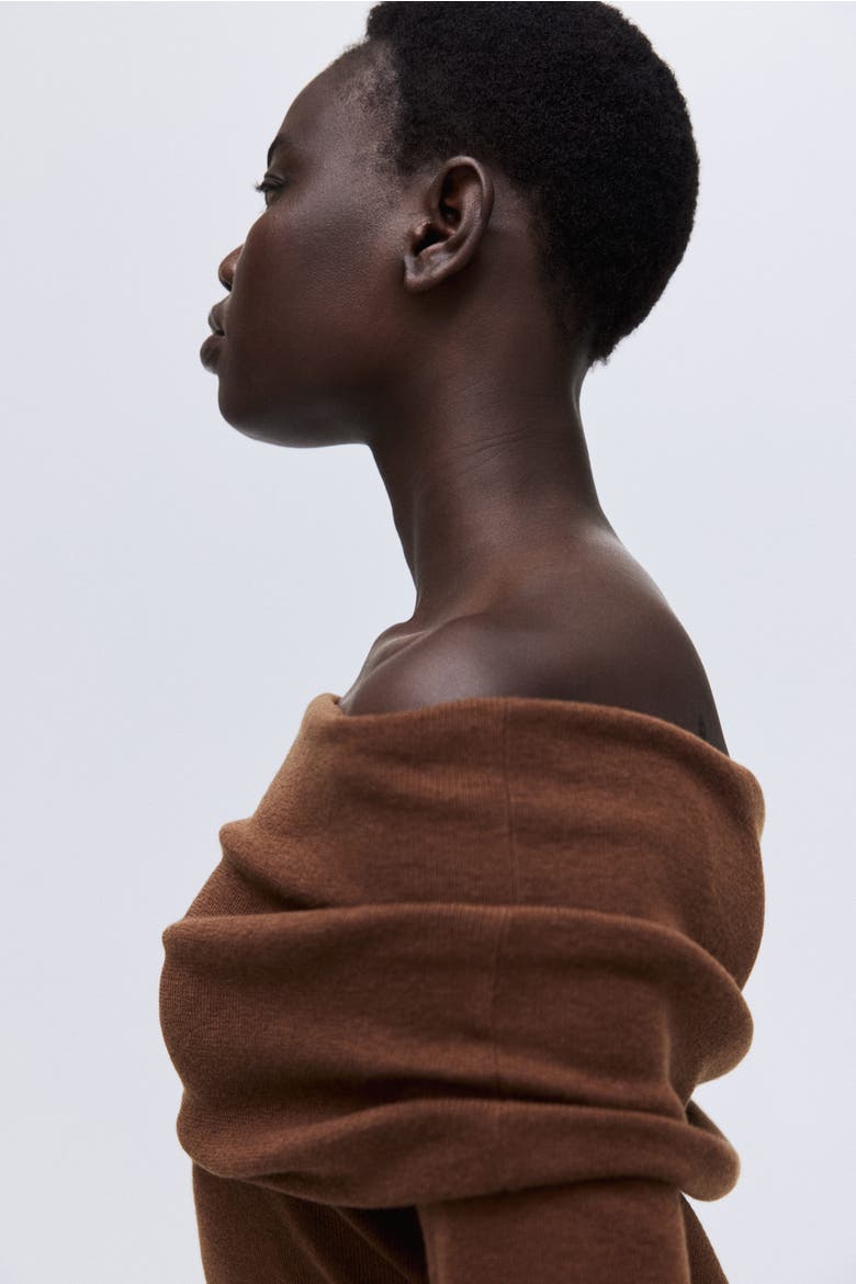 Off-the-shoulder Jumper, Alternate, color, Brown