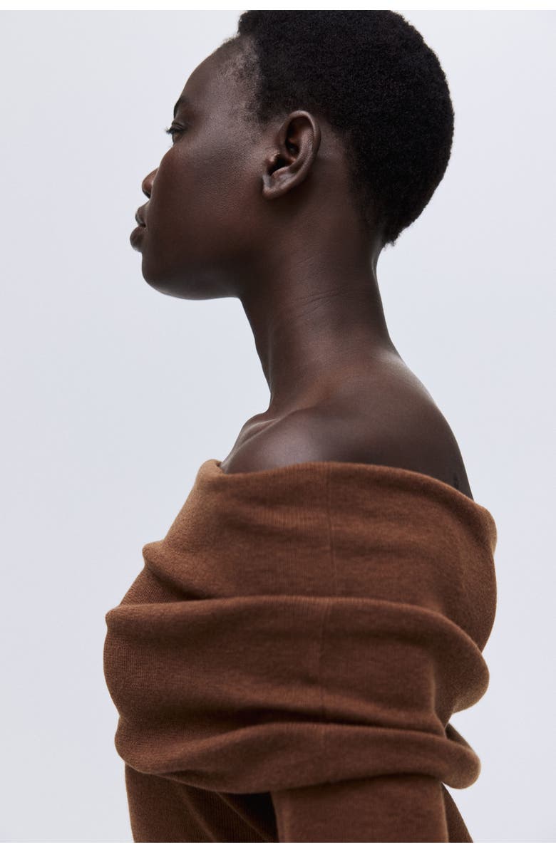 H&M Off-the-shoulder Jumper, Alternate, color, Brown