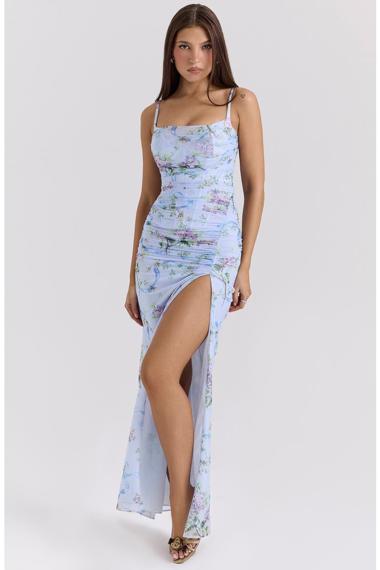 Lini Corset Chiffon Gown, Alternate, color, BLUE FLORAL PRINT