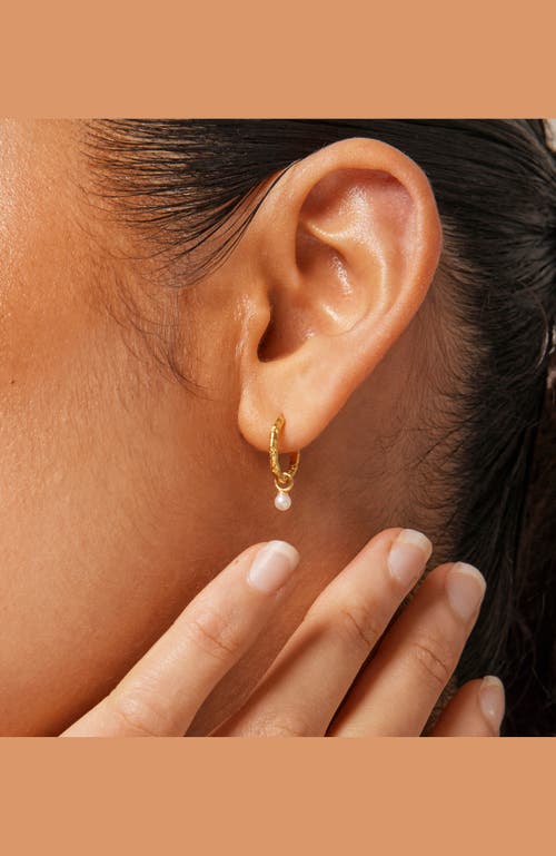 Enamel Copenhagen Belle Pearl Hoops In Gold