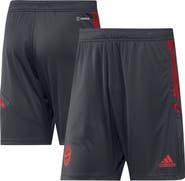 adidas Men's adidas Gray Bayern Munich Training AEROREADY Shorts