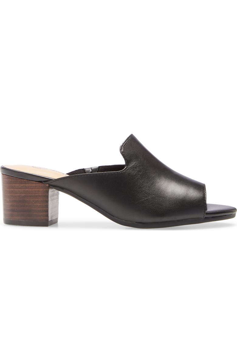 Bella Vita Daisy Slide Sandal, Alternate, color,