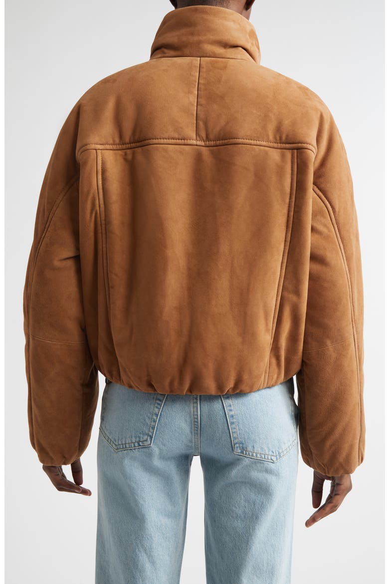 Alba Suede Jacket, Alternate, color, TAN