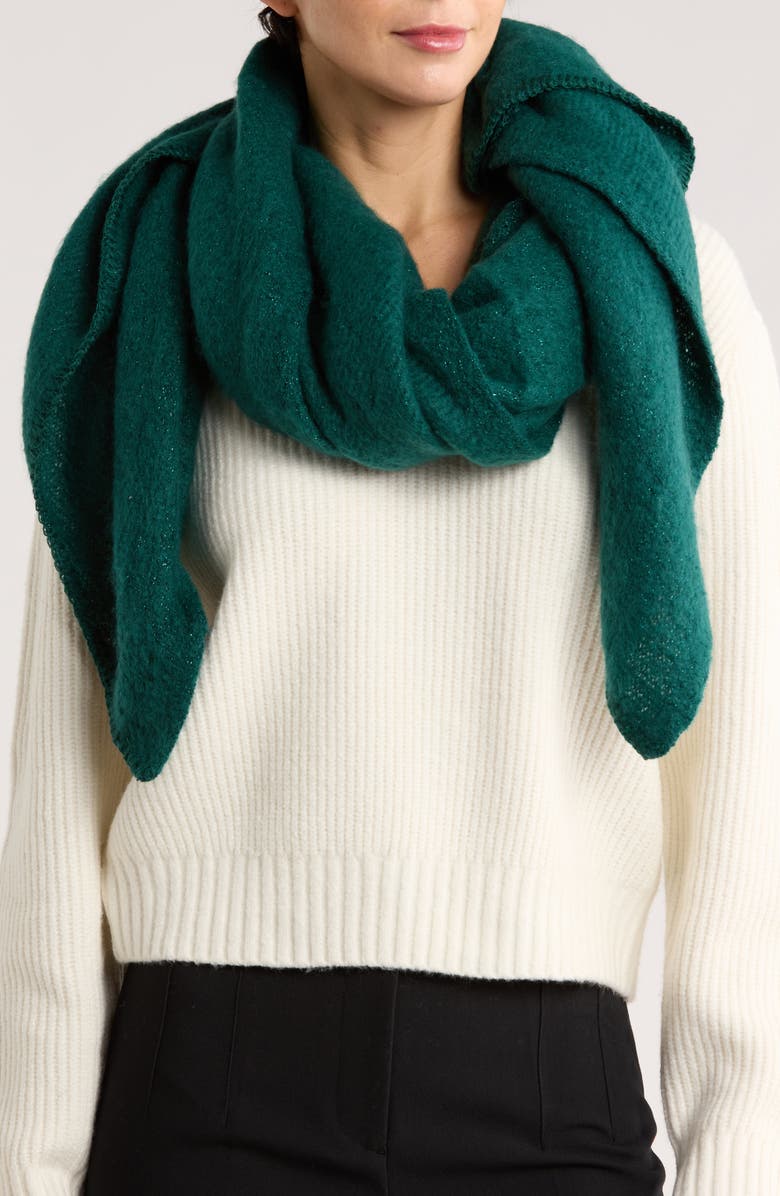 Vince Camuto Solid Shine Knit Scarf, Main, color, Botanical Garden