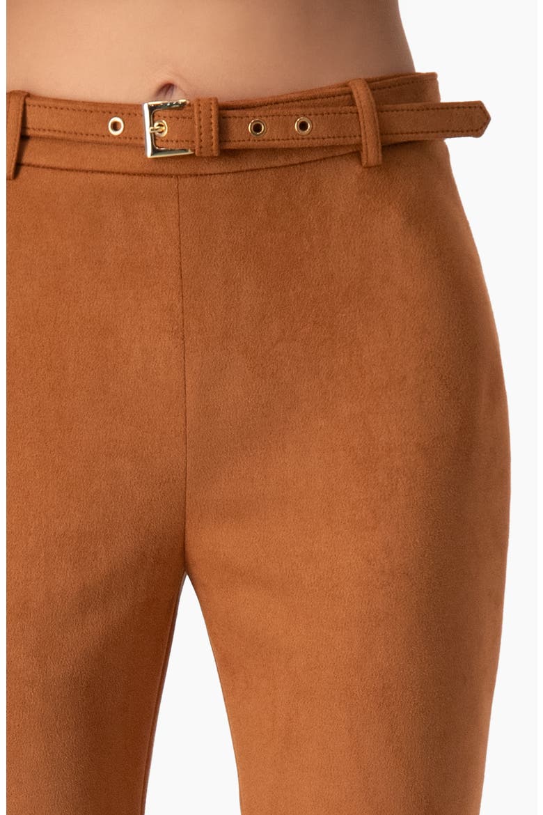 High-Rise Skinny Pants with Removable Belt In Faux Suede, Alternate, color, Chedron
