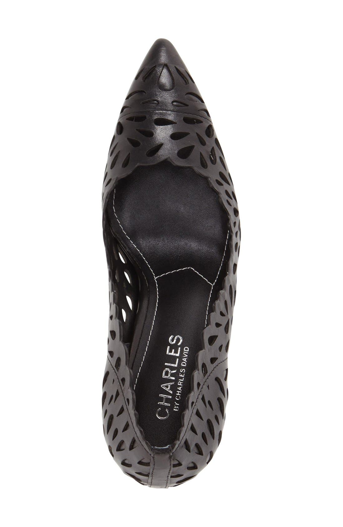 Charles by Charles David 'Sabrina' Pointy Toe Pump, Alternate, color, 