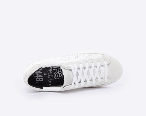 P448 Corjohn Mens Sneakers