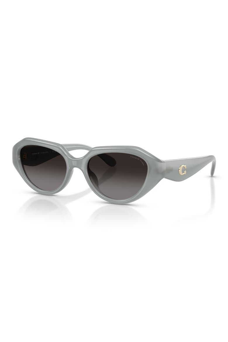 52mm Gradient Polarized Irregular Sunglasses, Alternate, color, MILKY EUCALYPTUS / GREY