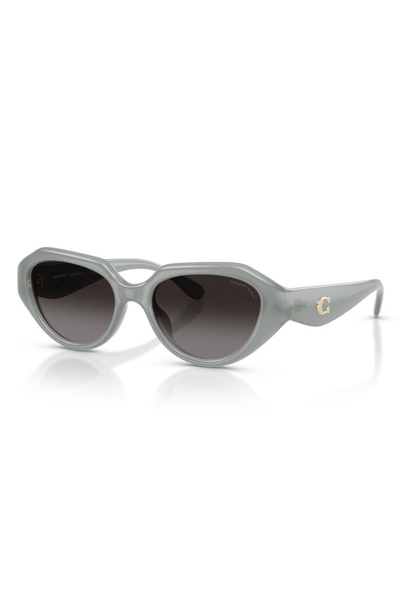 COACH 52mm Gradient Polarized Irregular Sunglasses, Alternate, color, Milky Eucalyptus / Grey