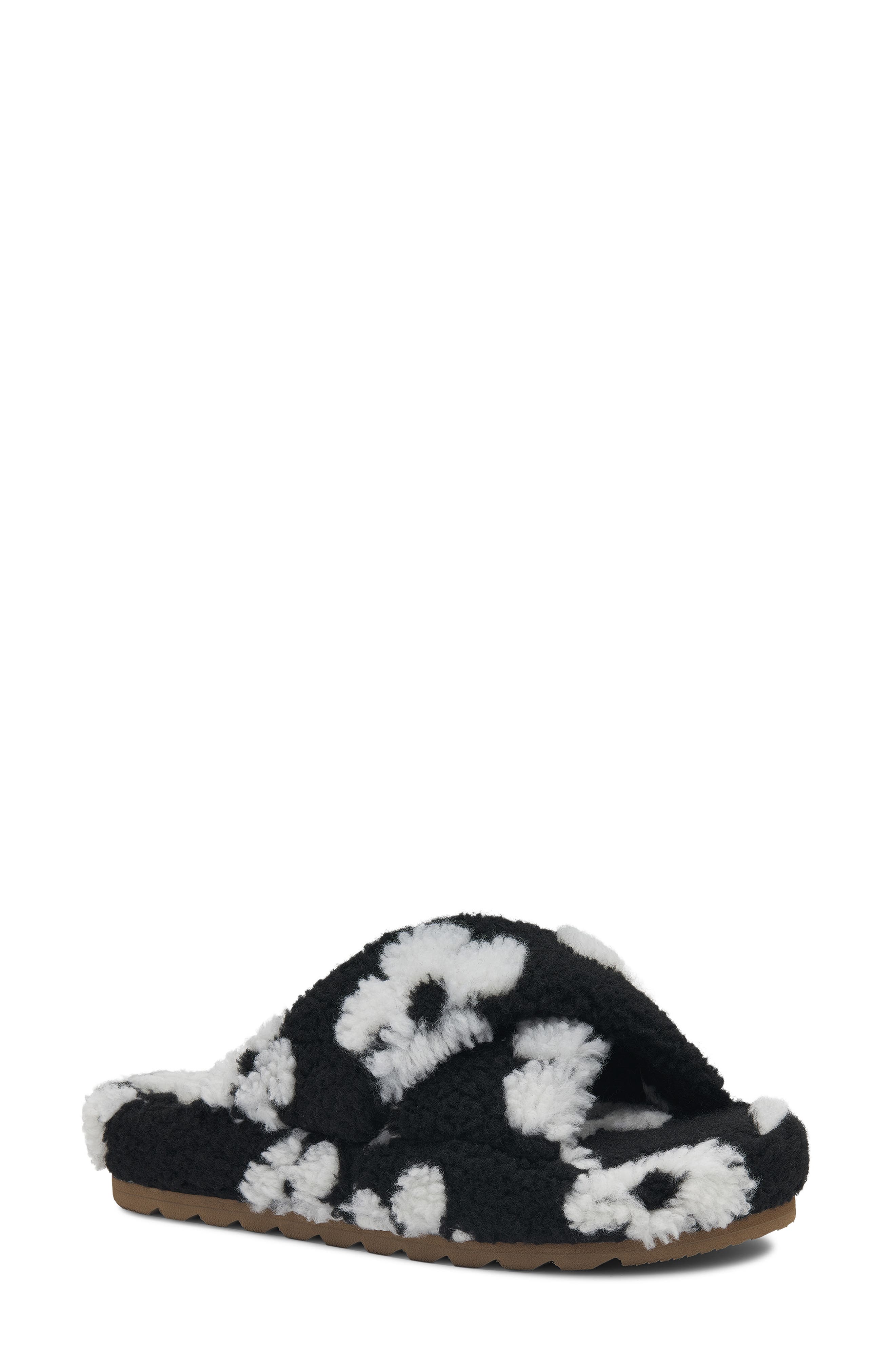 BLACK DAISY