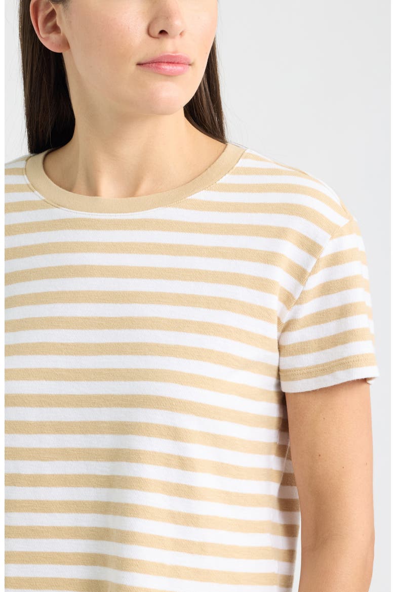 Drop Shoulder Short Sleeve Stripe Cotton Tee, Alternate, color, TAN SHORE- WHITE CHARM STRIPE