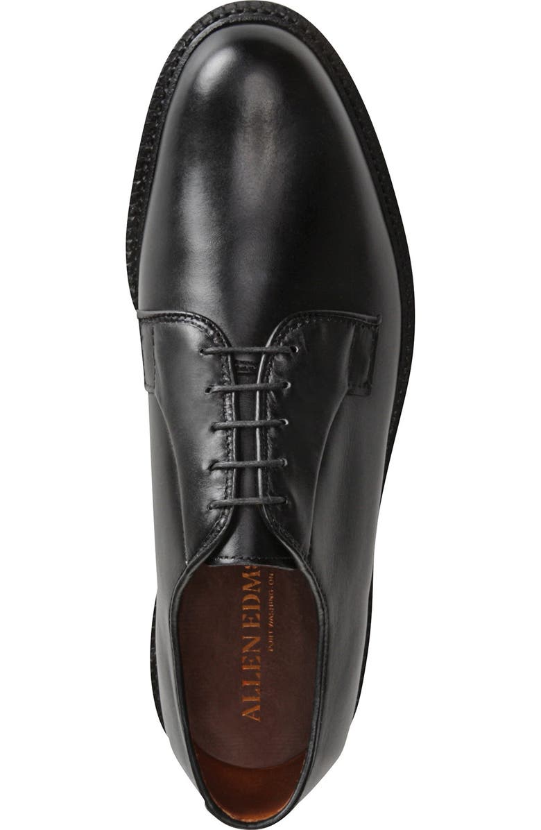 Allen Edmonds Leeds Plain Toe Derby, Alternate, color,
