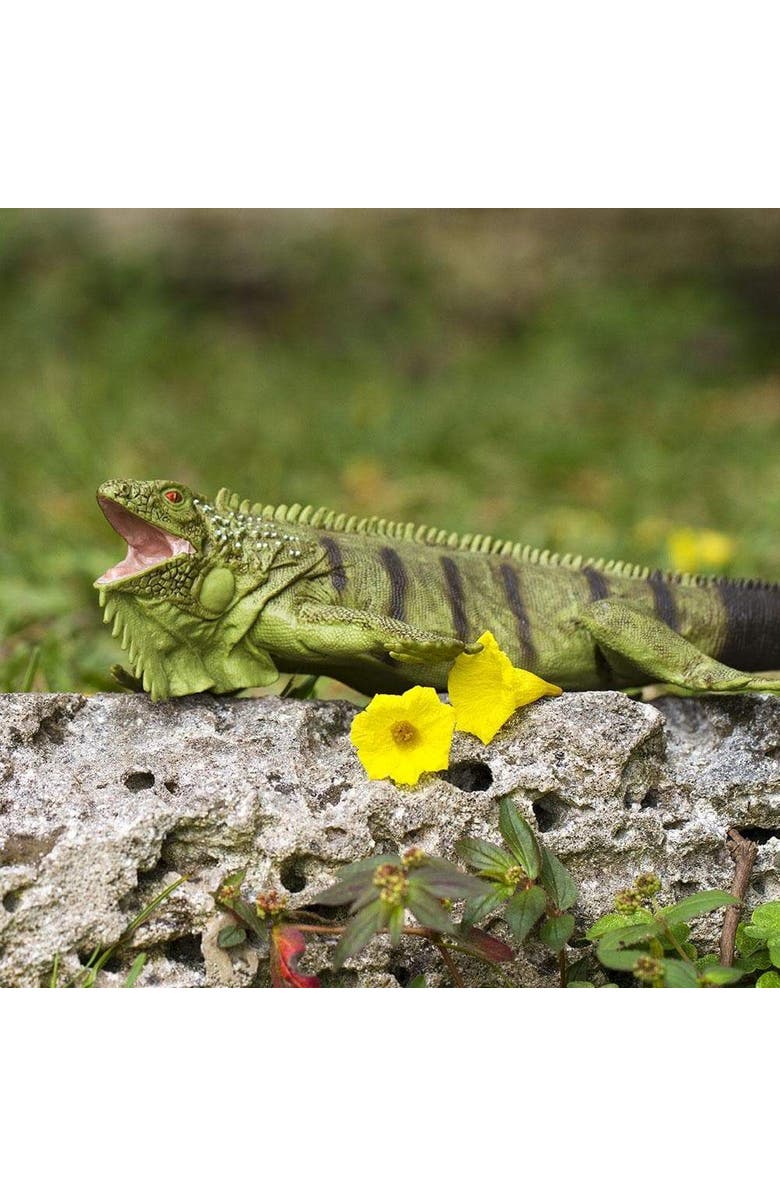 Safari Ltd. Iguana Toy, Alternate, color, NO COLOR