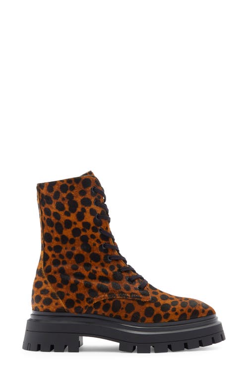 Stuart Weitzman Bedford Sleek Genuine Calf Hair Combat Boot In Brown