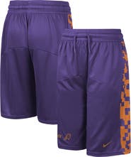 Nike Youth Nike Purple Phoenix Suns Courtside Starting Five Team Shorts
