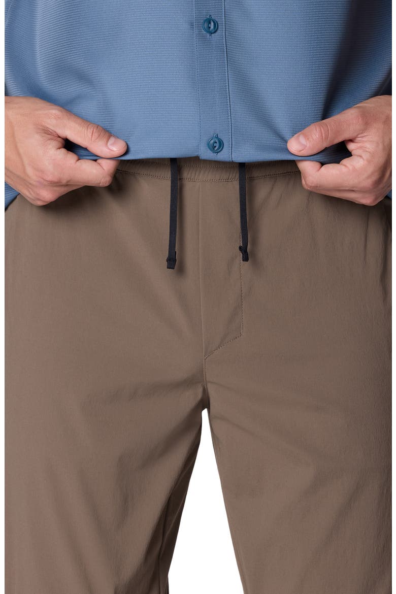 Dynama Pants, Alternate, color, TIERRA