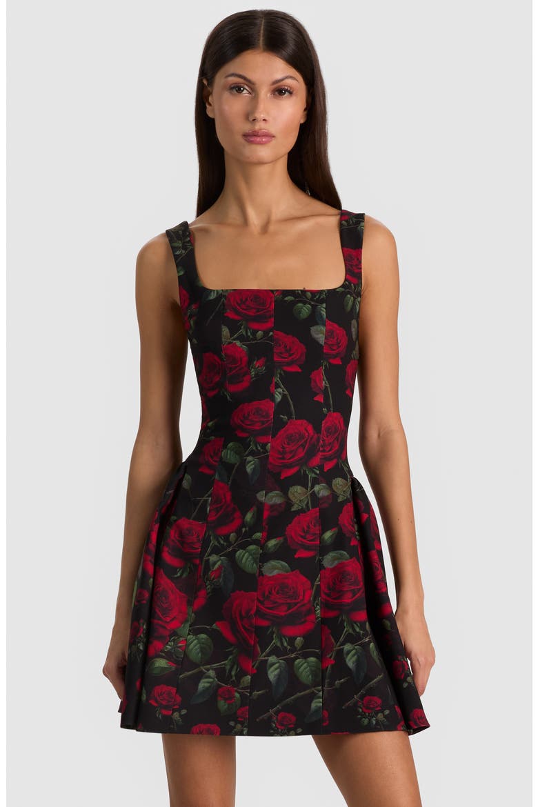 Vera Dropped Waist Minidress, Alternate, color, ROUGE ROMANCE BLACK