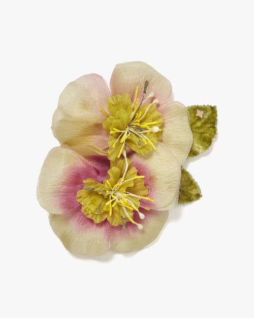 Helena Simon The Hellebore Floral Brooch In Multi