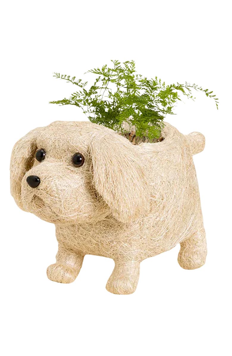 LIKHA White Labrador Handwoven Planter, Alternate, color, White