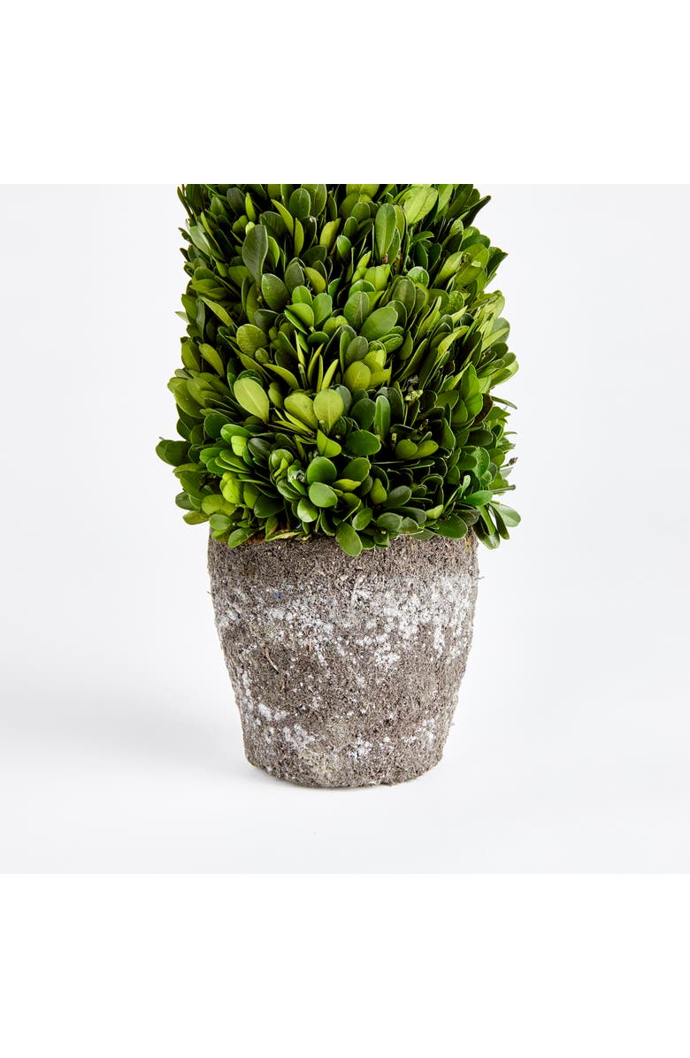 Napa Home & Garden Boxwood Cone Topiary Drop-In 16", Alternate, color, Green