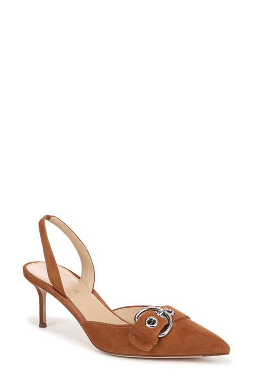 Veronica Beard Roxy Slingback Pointed Toe Pump In Hazelwood
