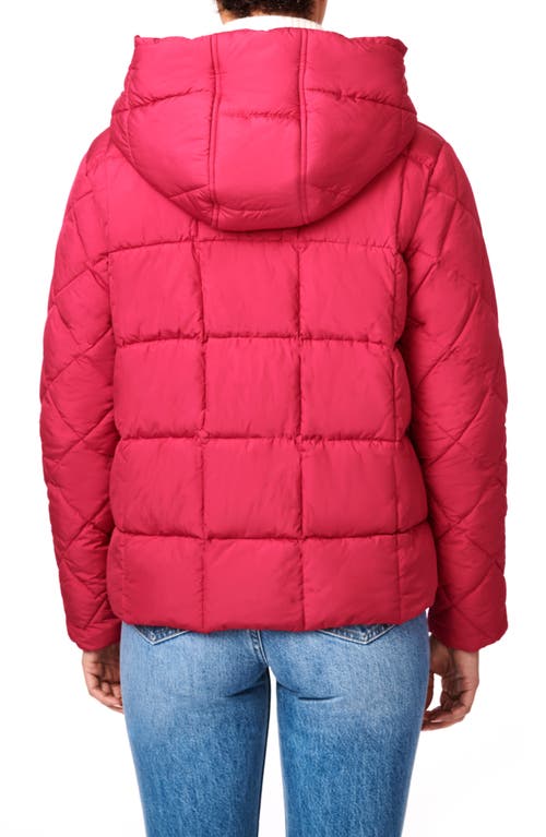 Bernardo Hooded Recycled Puffer Jacket