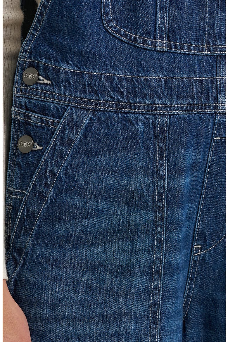Distressed Relaxed Denim Overalls, Alternate, color, BLUE THEORY