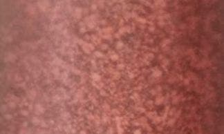 selected INTENSE CORAL