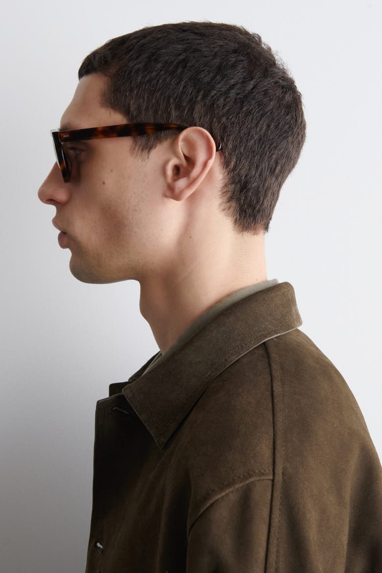 D-frame Sunglasses, Alternate, color, TORTOISESHELL