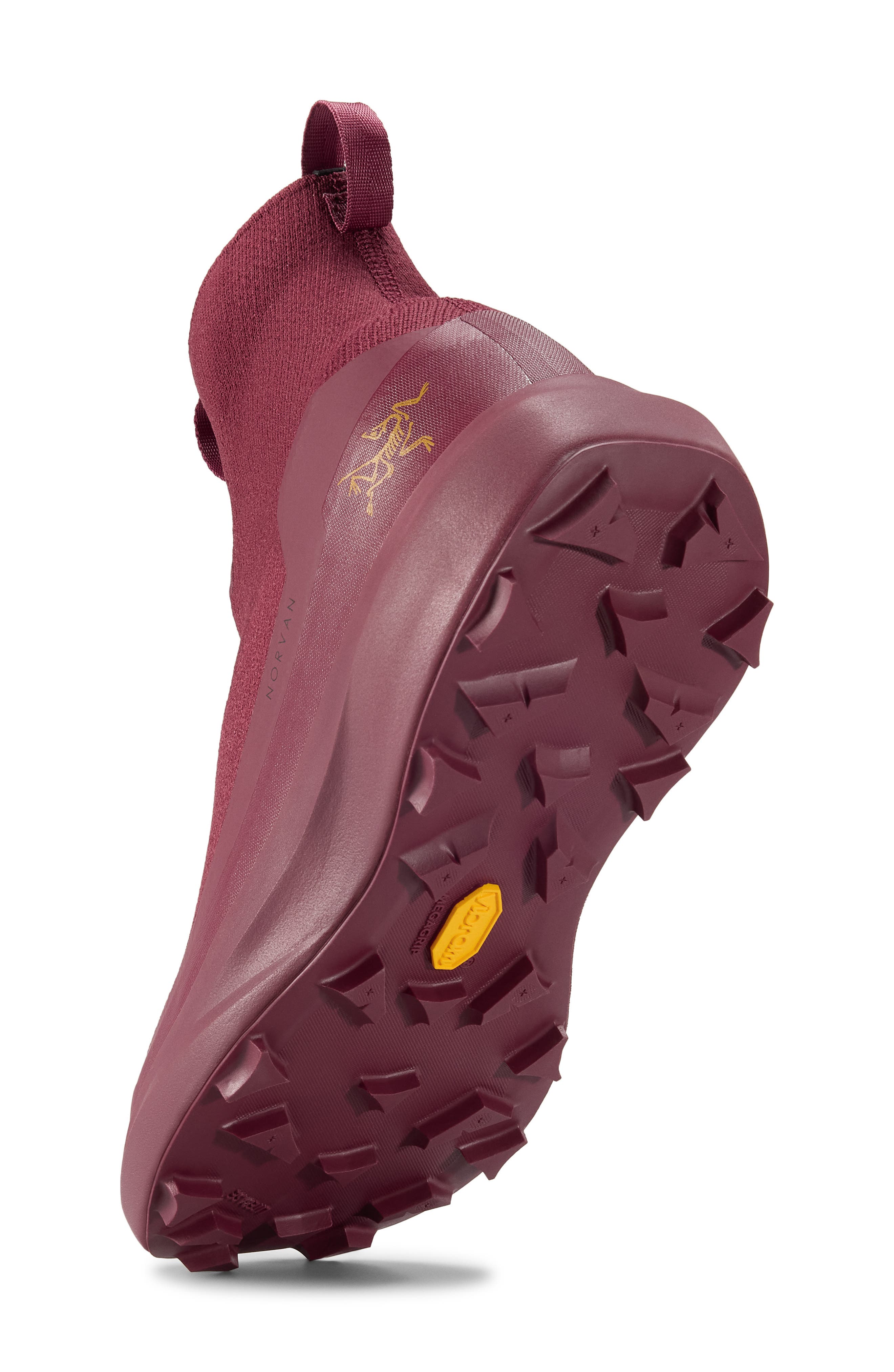 Norvan 4 Nivalis GORE-TEX Waterproof Running Shoe, Alternate, color, MARS/ MARS