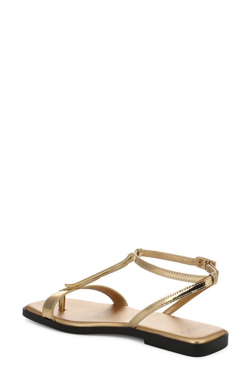 SARTO BY FRANCO SARTO SARTO BY FRANCO SARTO LOGAN ANKLE STRAP SANDAL 