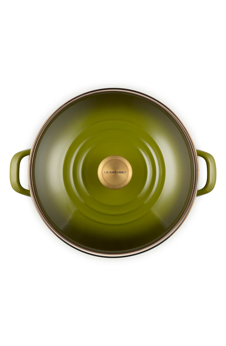 Le Creuset Enameled Stainless Steel Stockpot, Alternate, color, Olive
