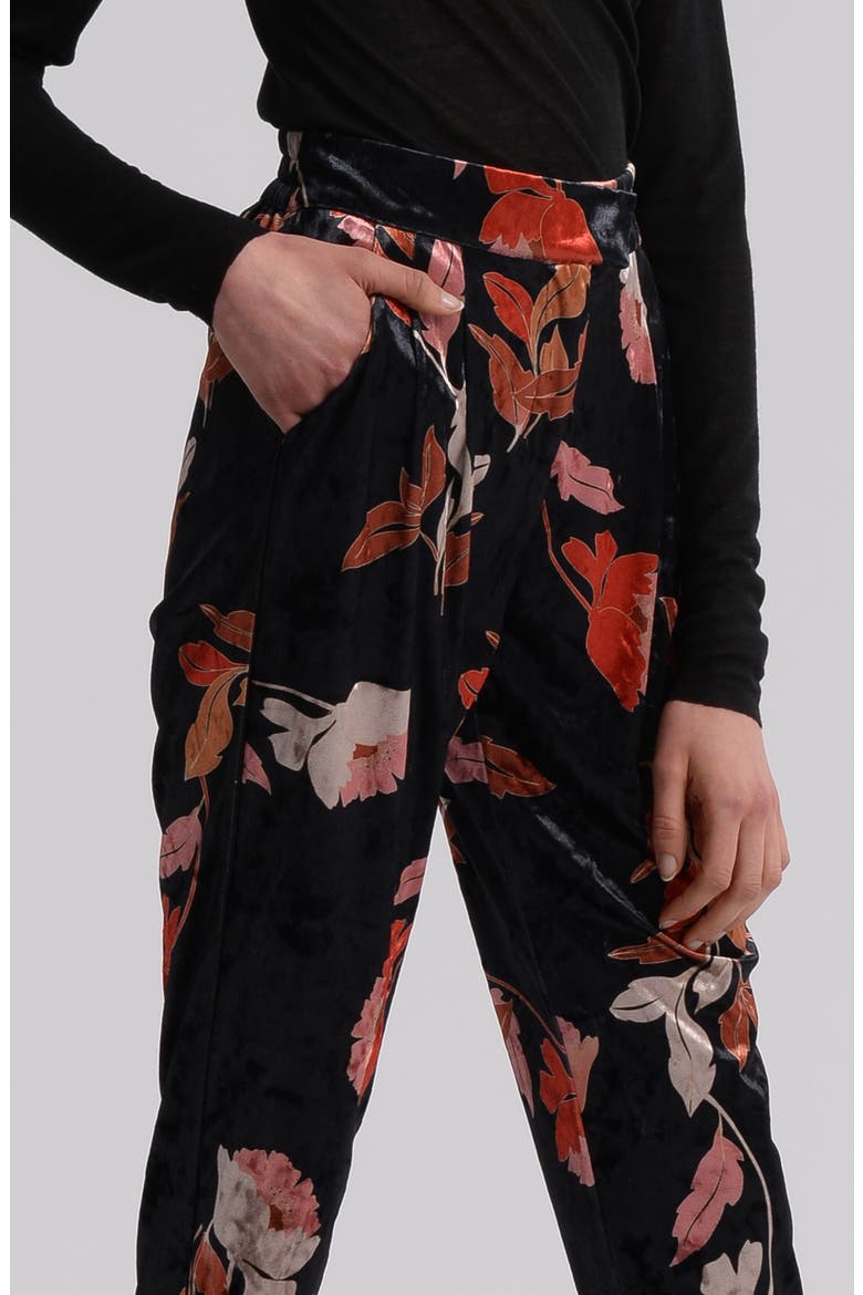 Floral Velvet Pants, Alternate, color, BLACK
