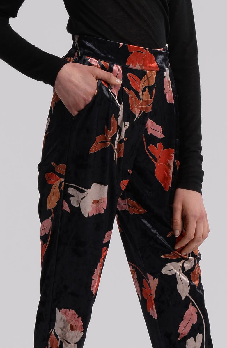 Molly Bracken Floral Velvet Pants, Alternate, color,