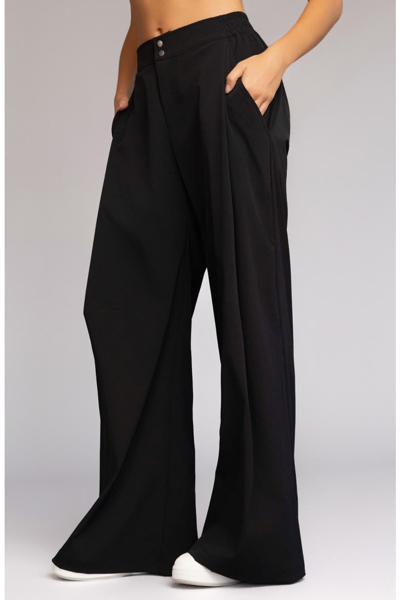 Daja Wide Leg Pants, Alternate, color, BLACK