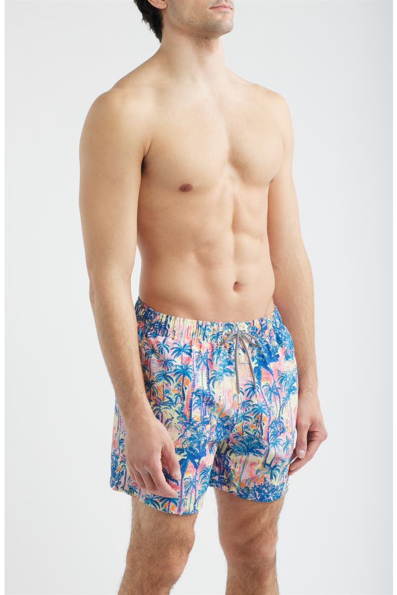 Havana Print Swim Trunks, Alternate, color, MULTI